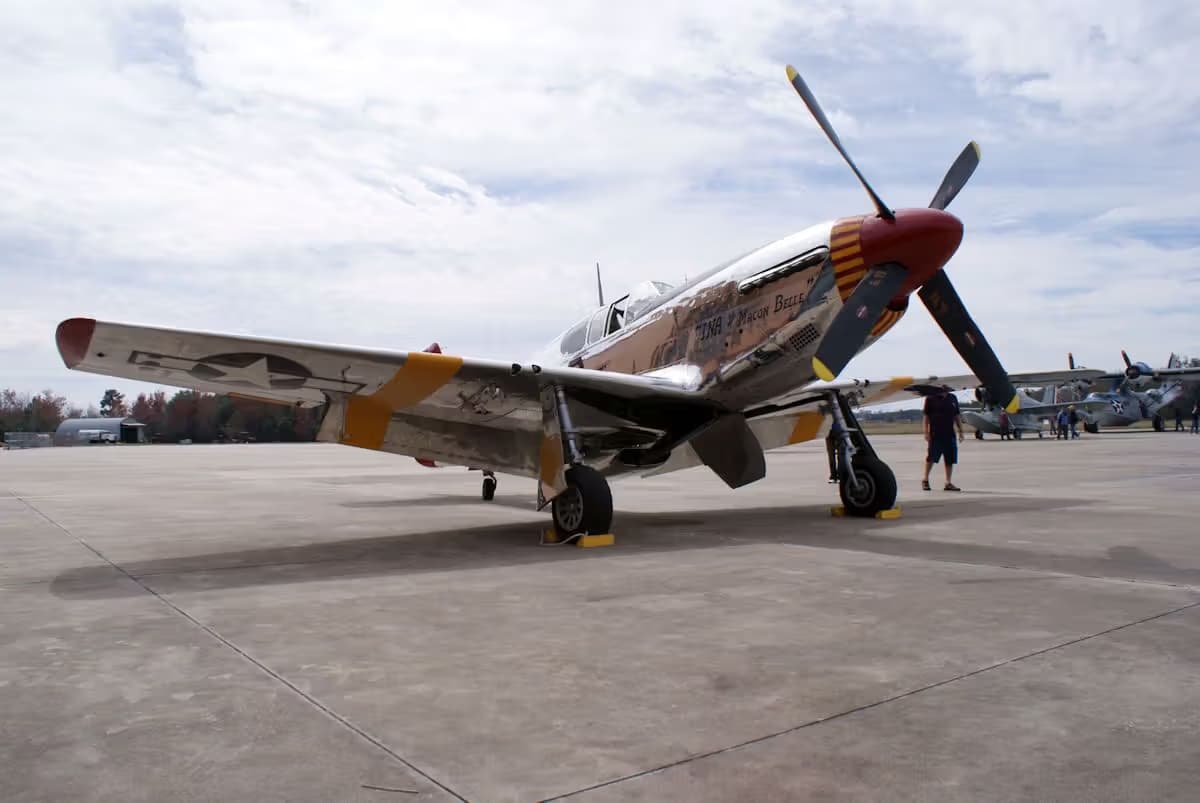 Unidentified — Warbird
