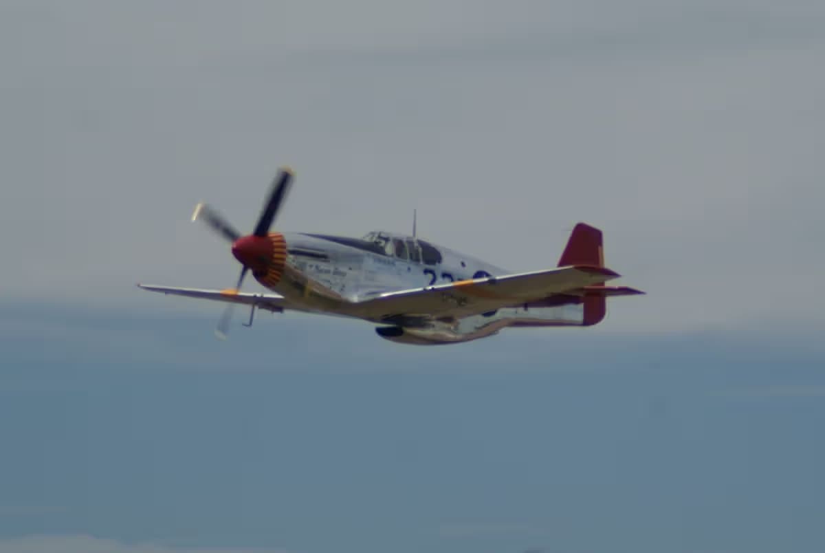 Unidentified — Warbird