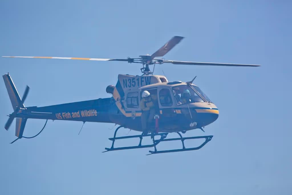 N351FW — Airbus