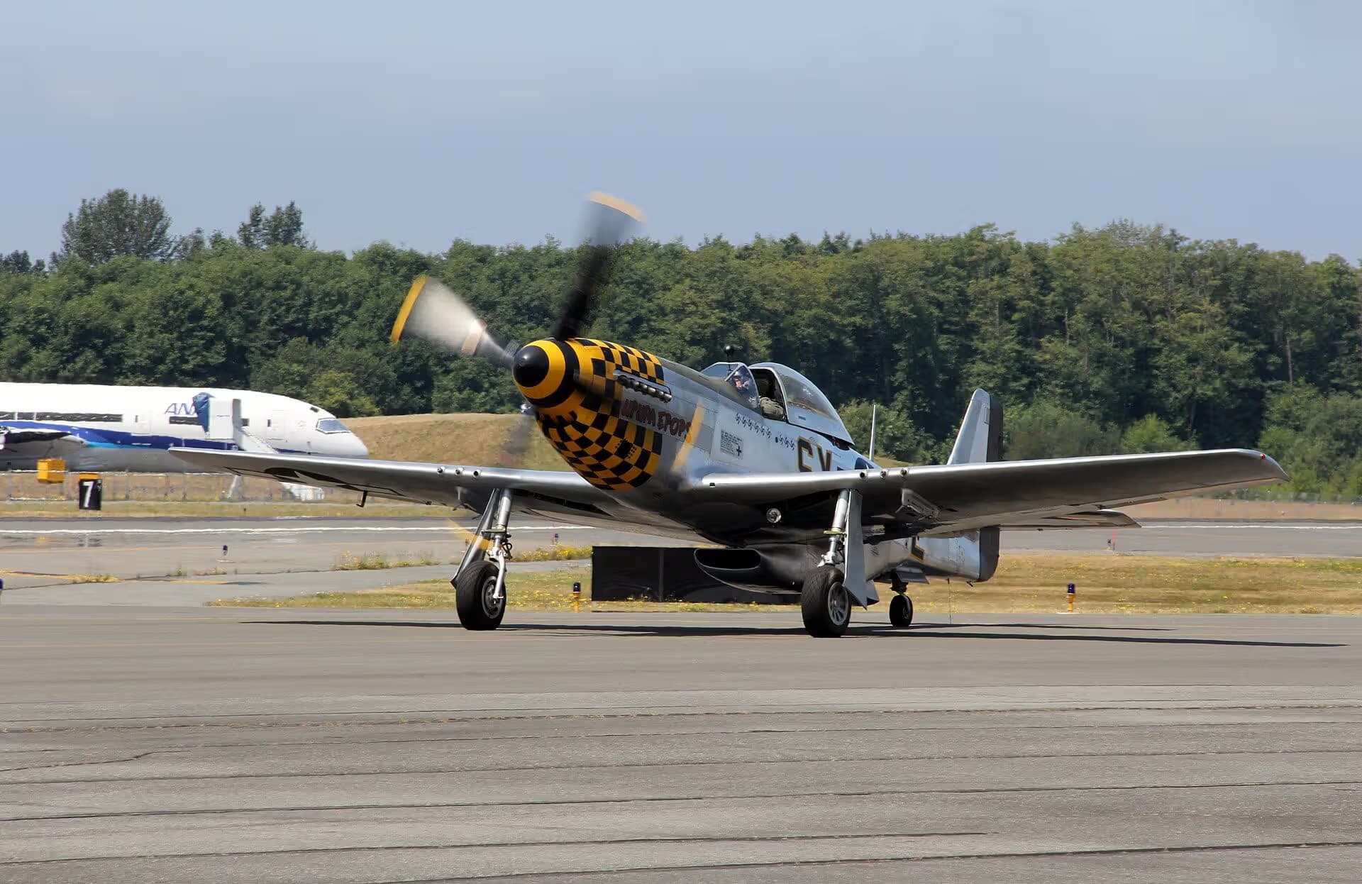 Unidentified — Warbird