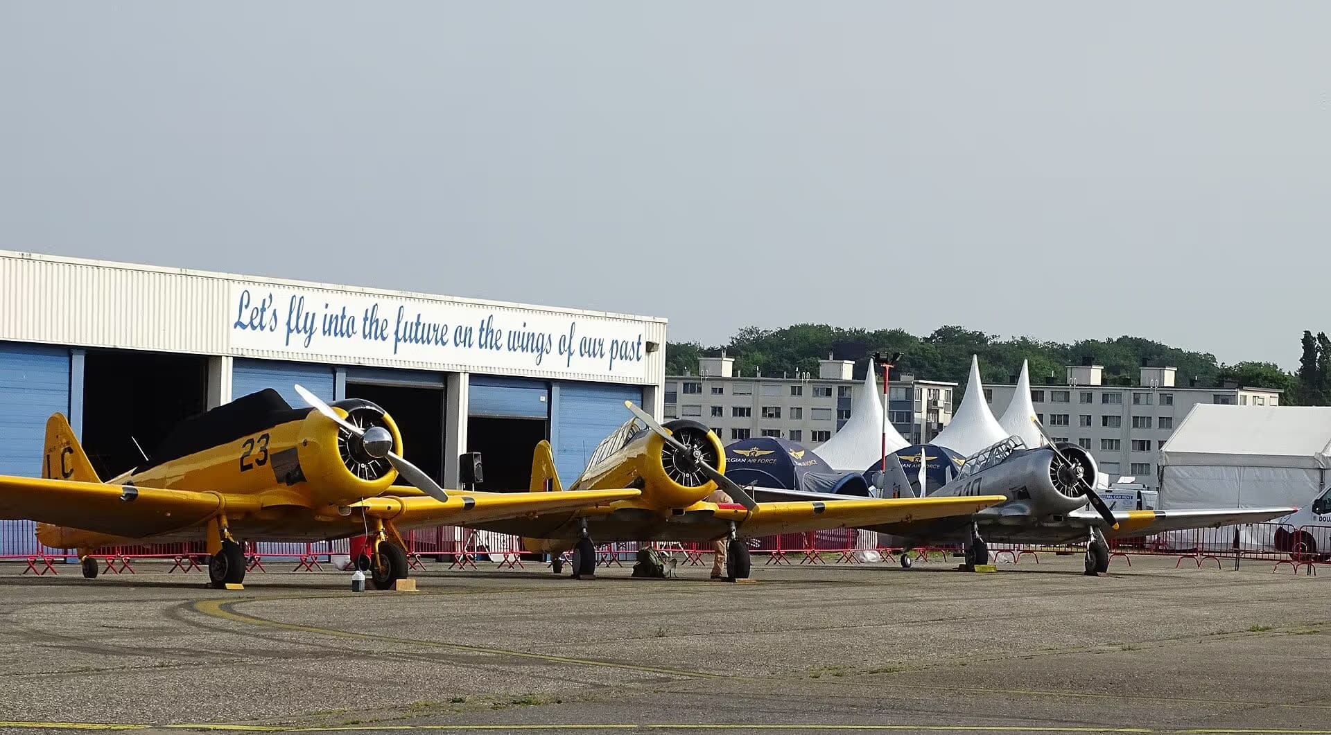 N3286 — Warbird