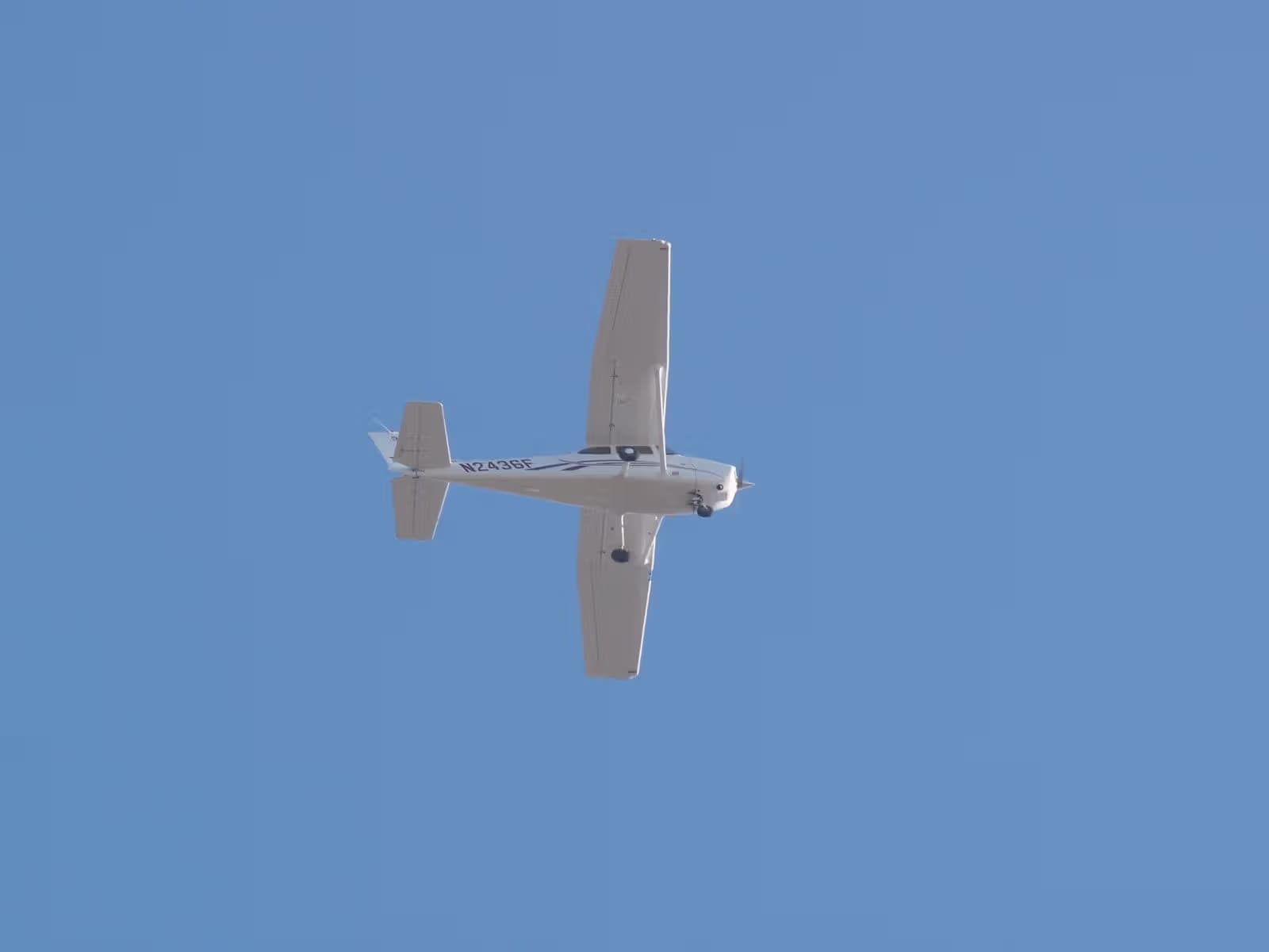 N2436F — Single-engine aircraft