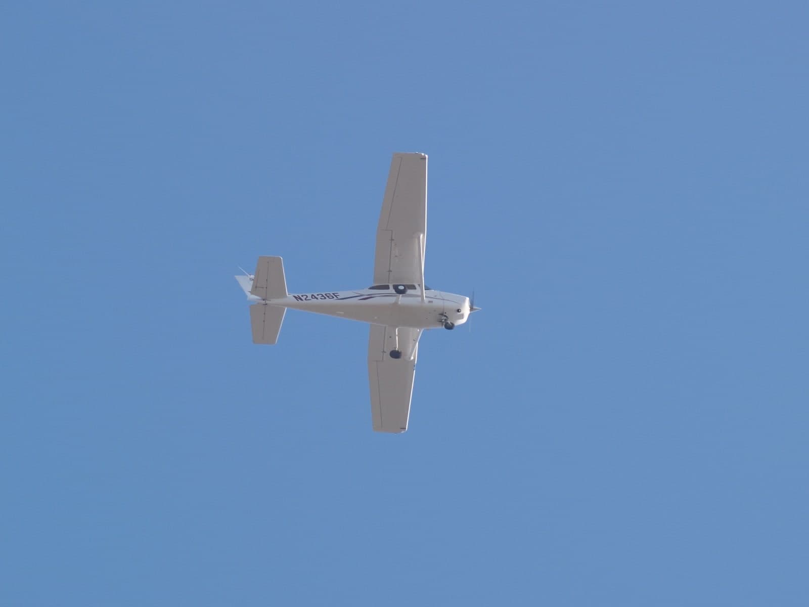 N2436F — Single-engine aircraft