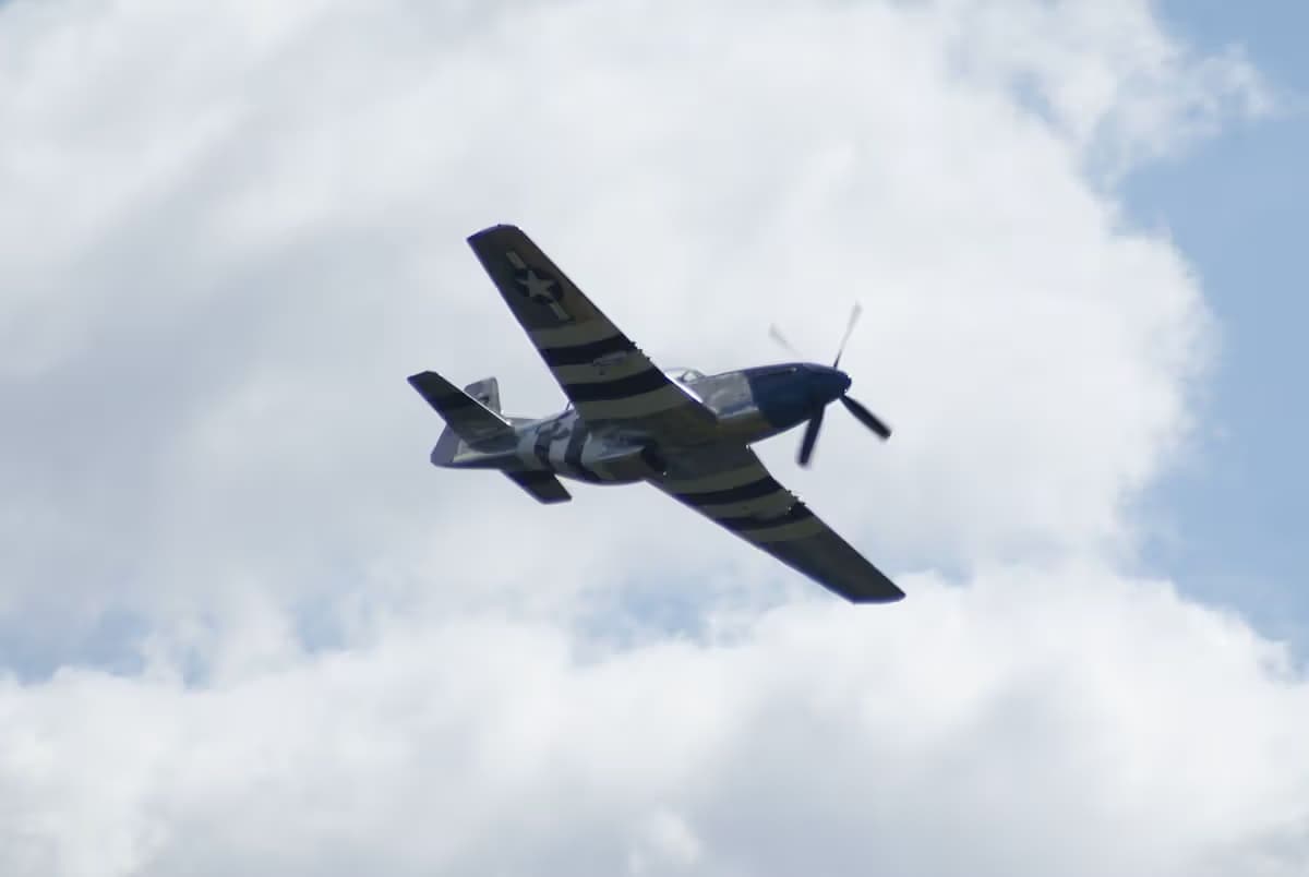 Unidentified — Warbird