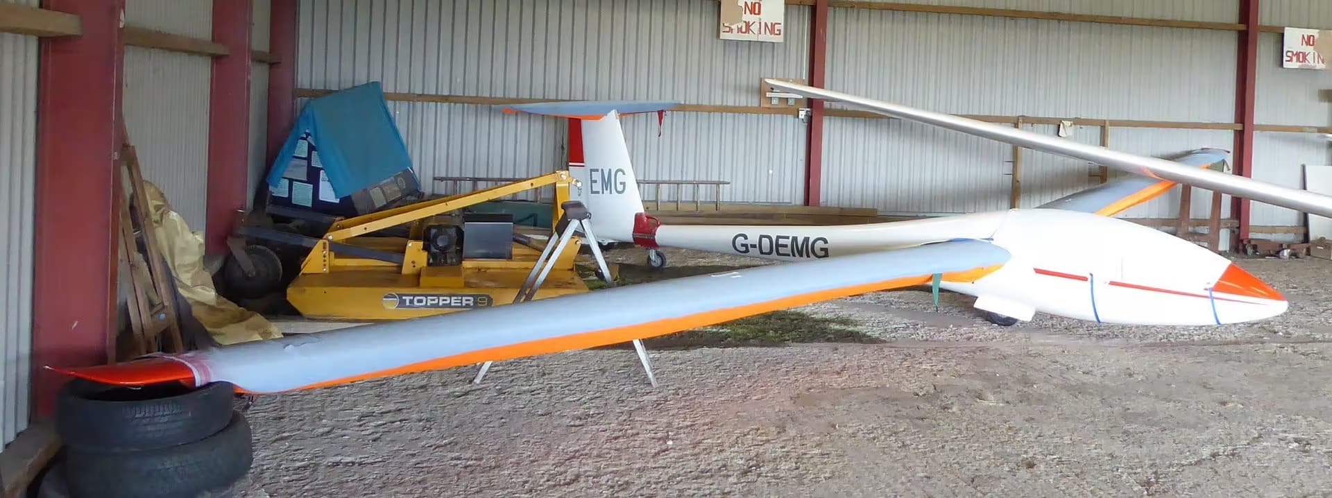 G-DEMG — Glider