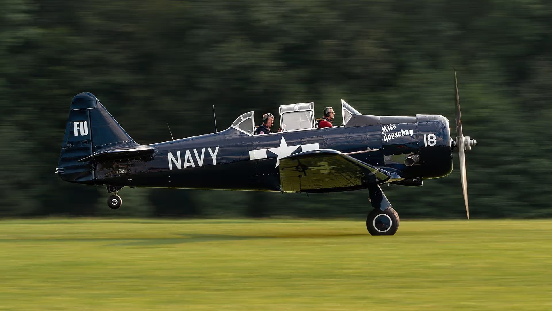 N6593D — Warbird