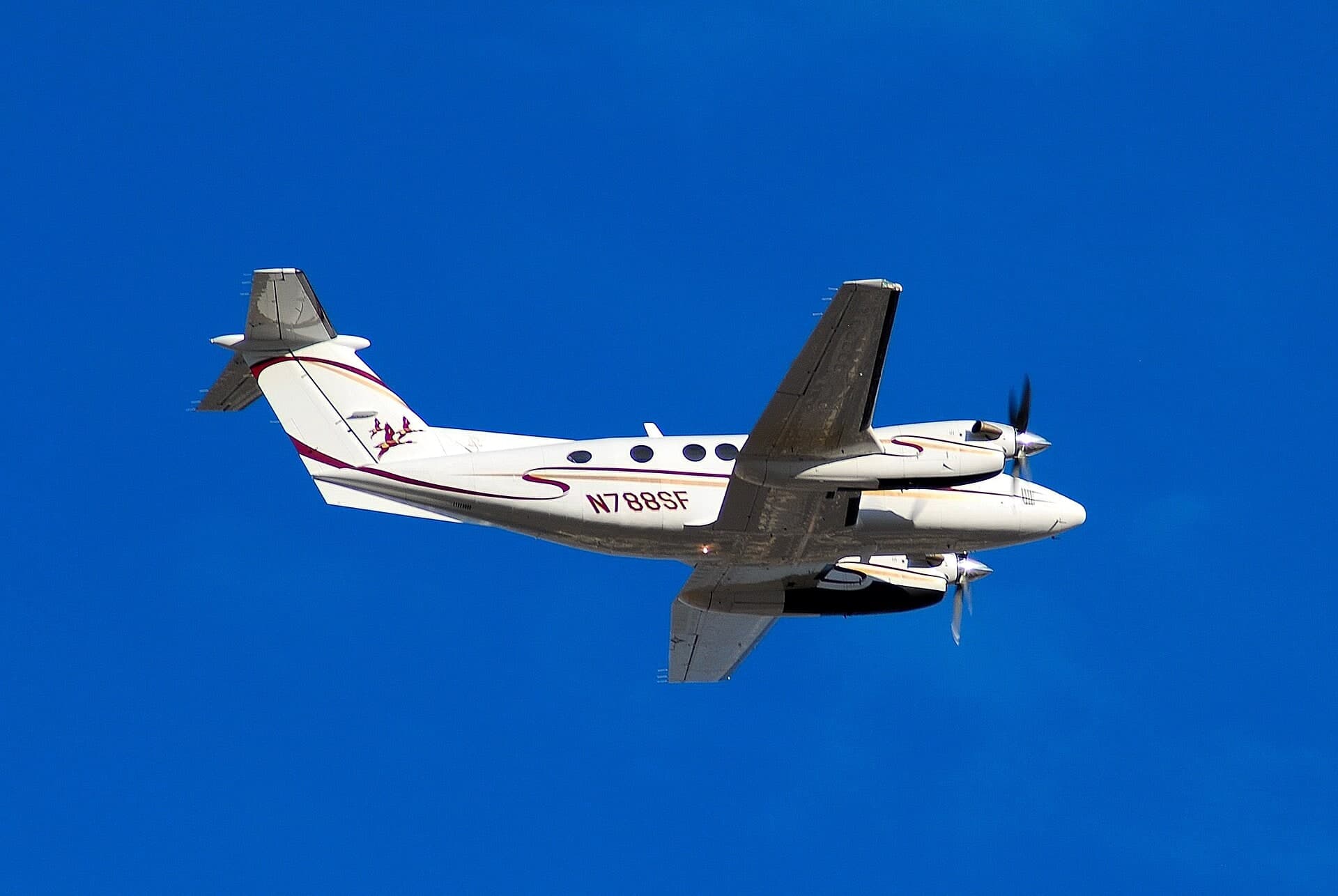 N788SF — Twin-engine aircraft
