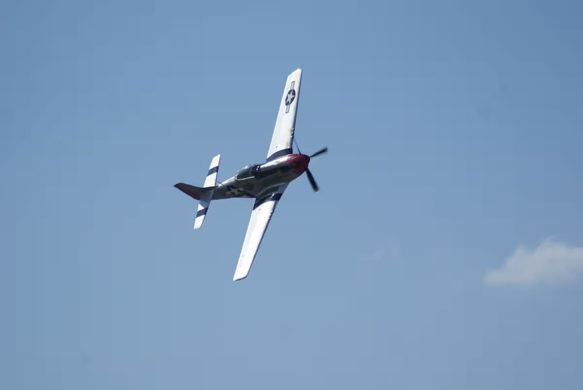 Unidentified — Warbird