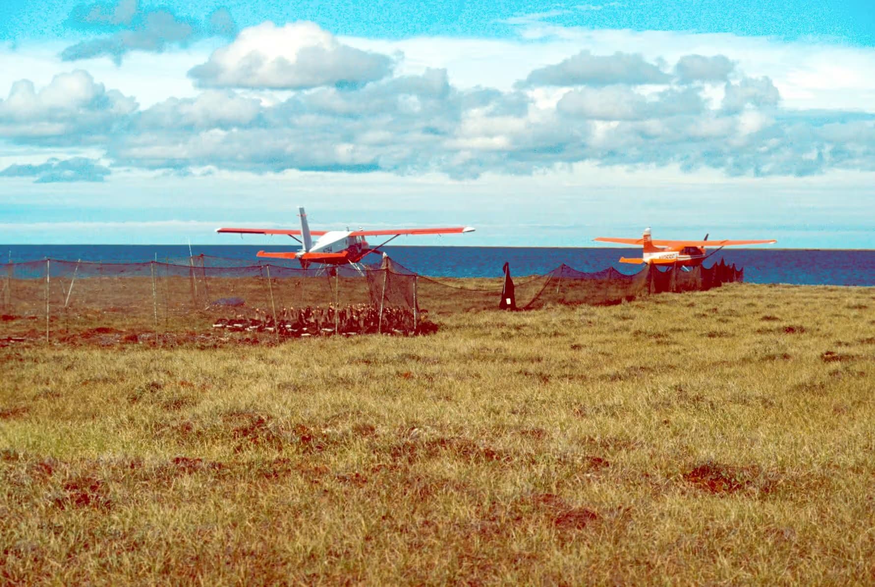 N754 — Single-engine aircraft