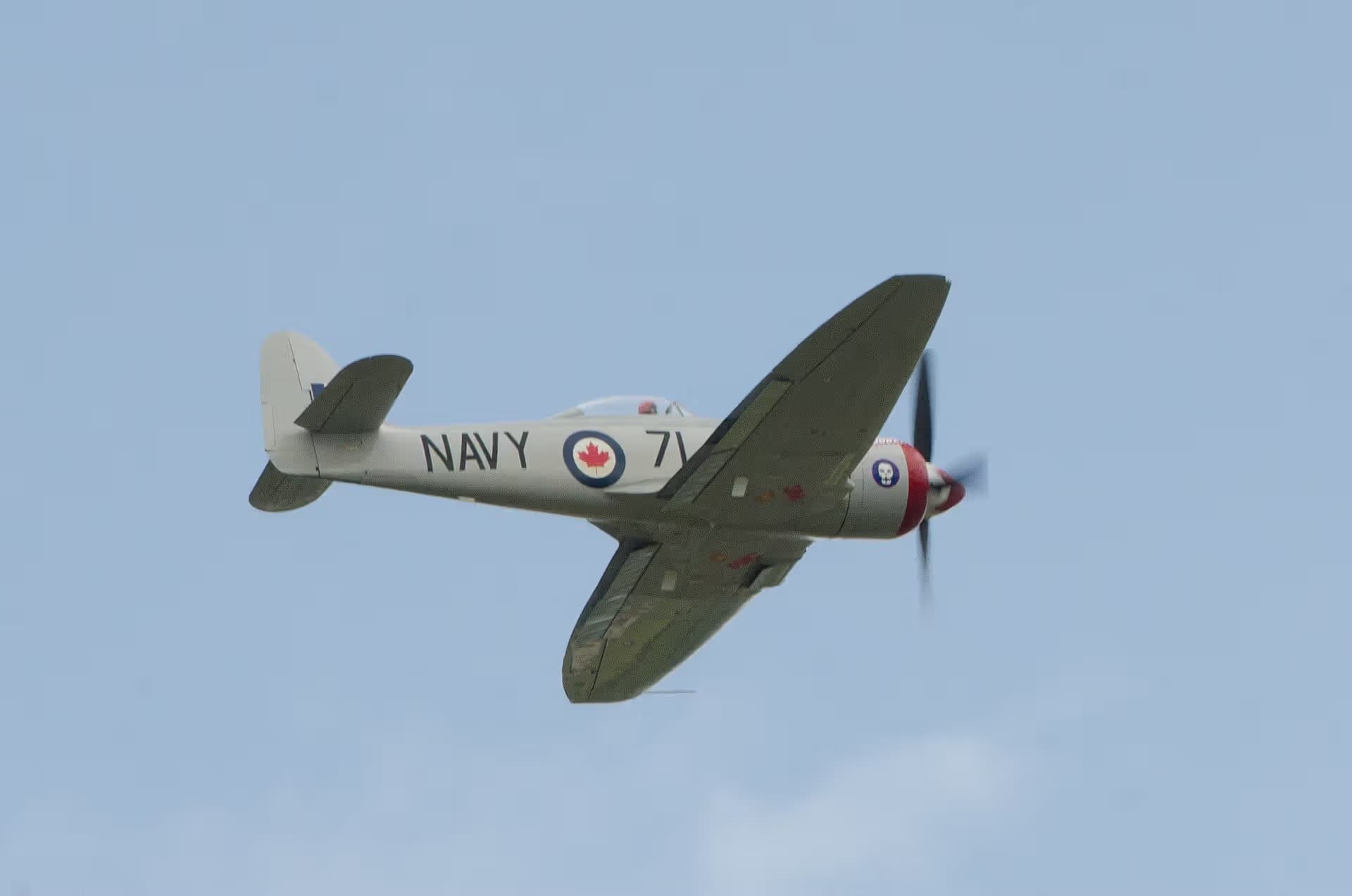 N71GB — Warbird