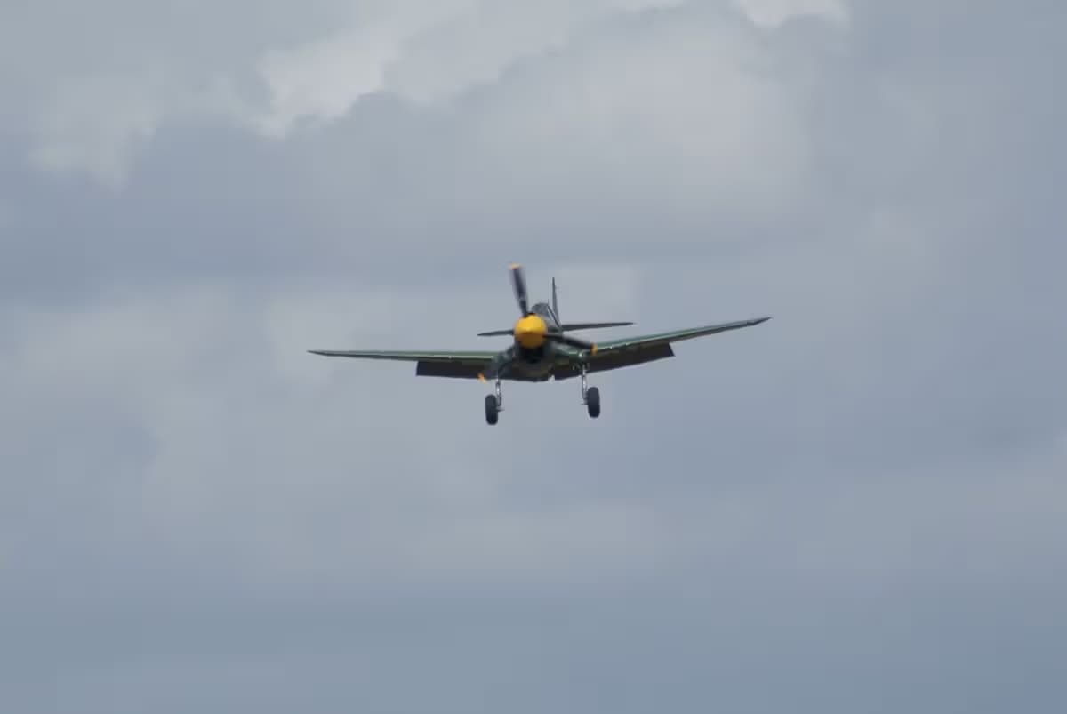 Unidentified — Warbird