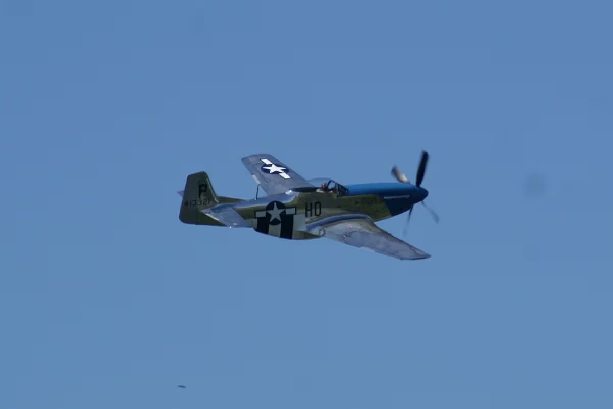 Unidentified — Warbird