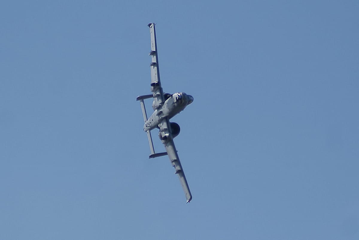 - Warbird