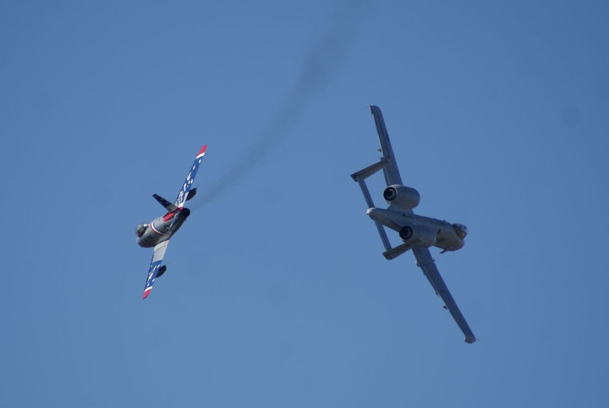 - Warbird