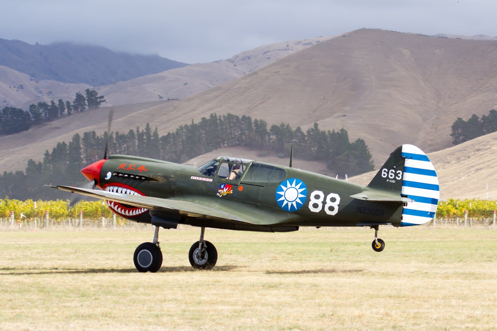 - Warbird