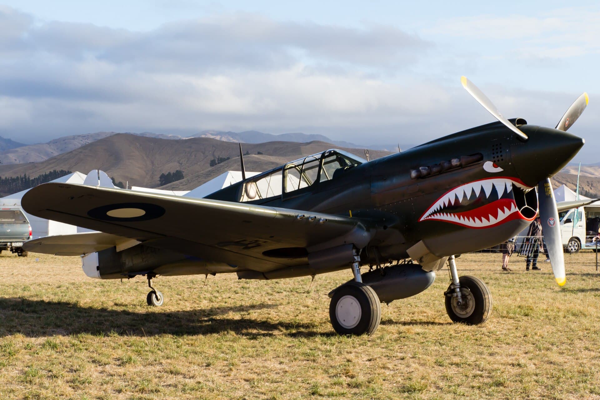 - Single-engine aircraft