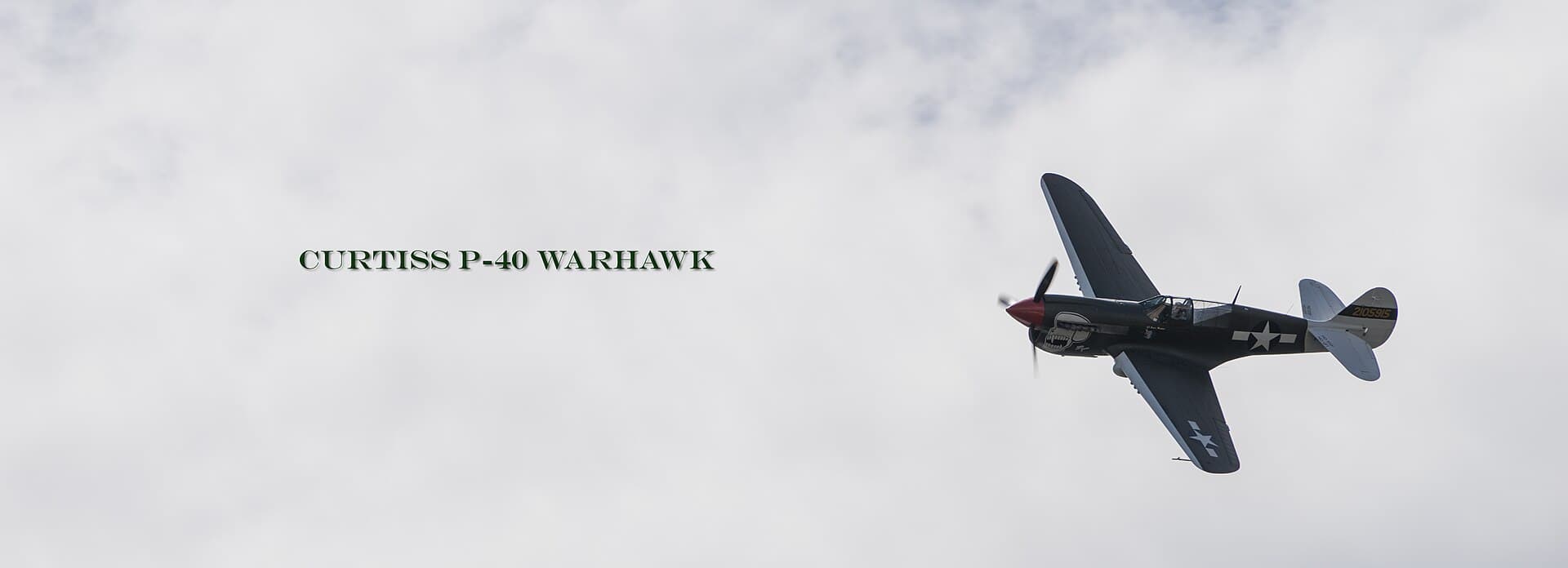 - Warbird