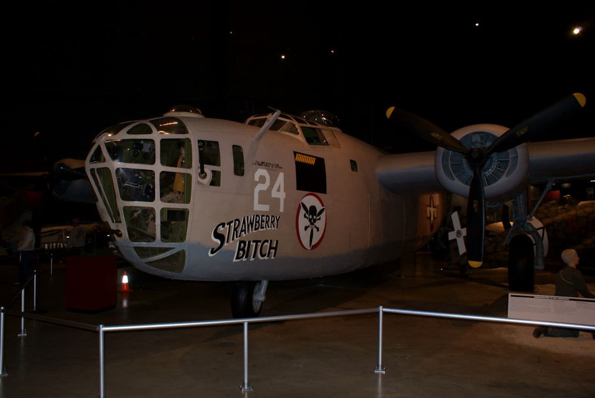 - Warbird