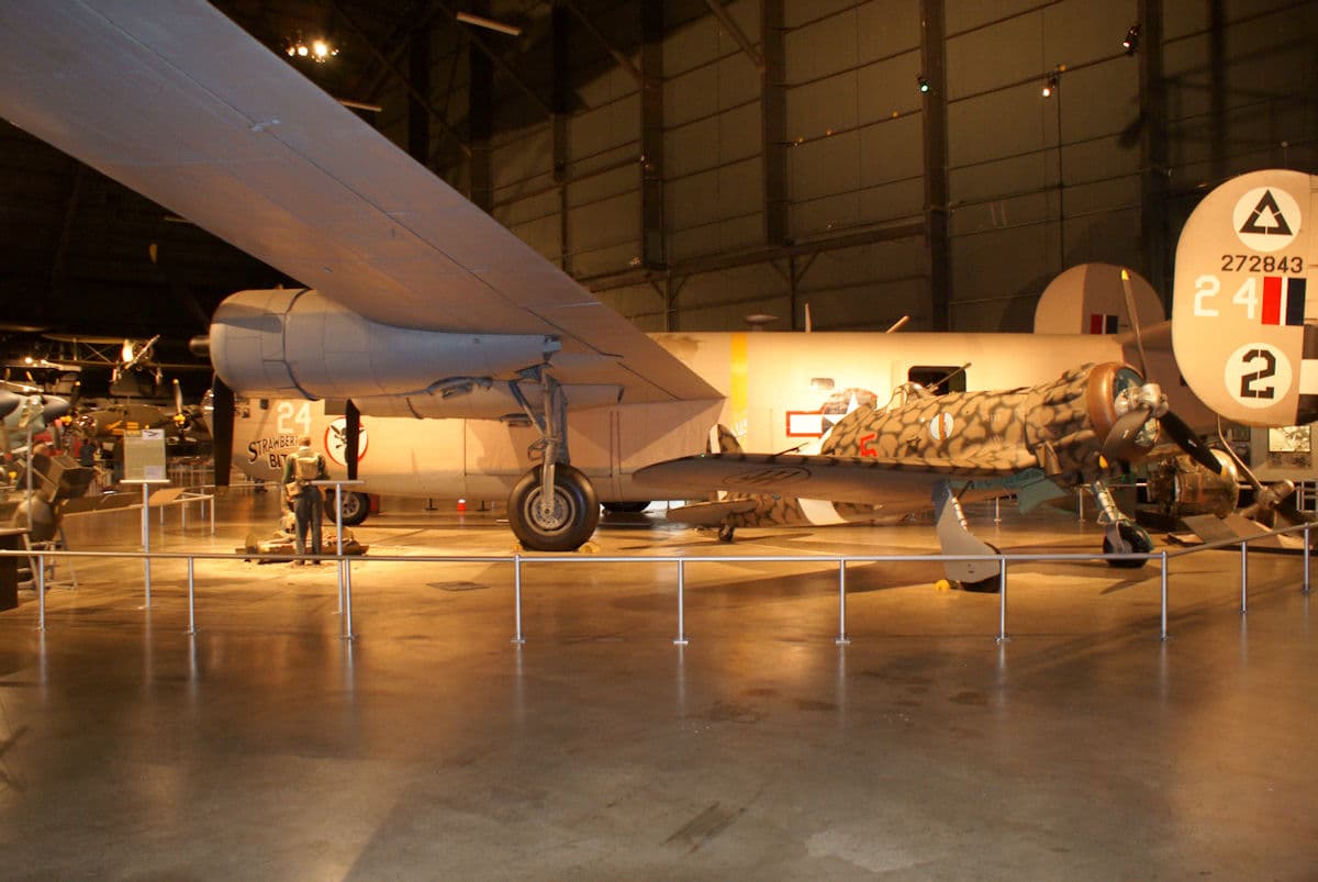 - Warbird