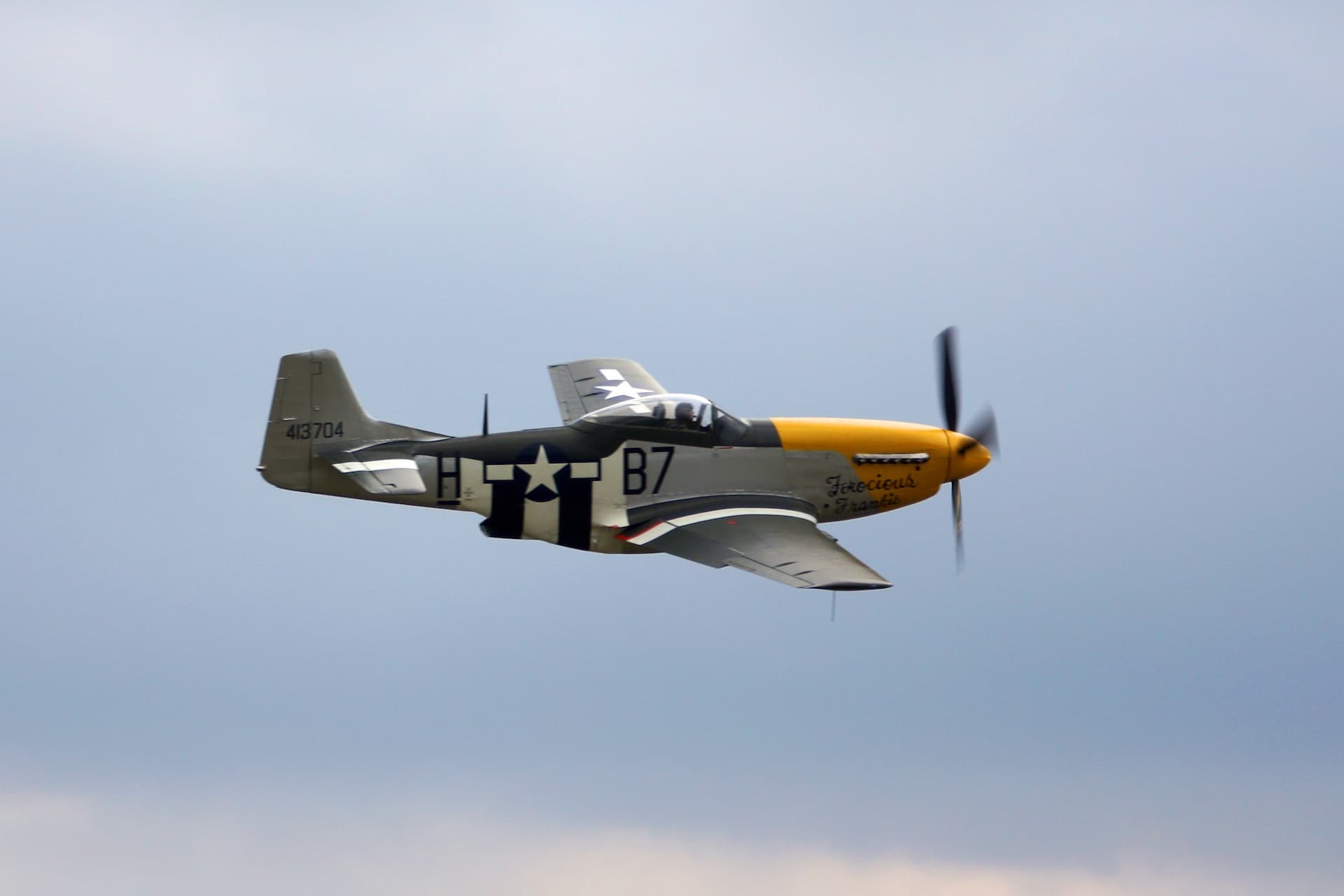 - Warbird