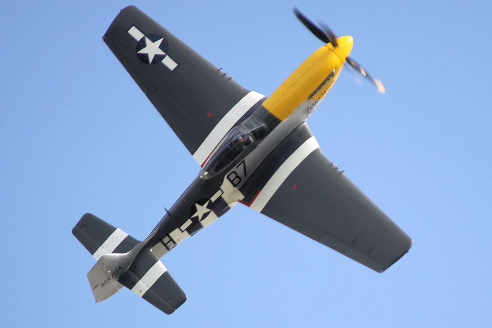 - Warbird