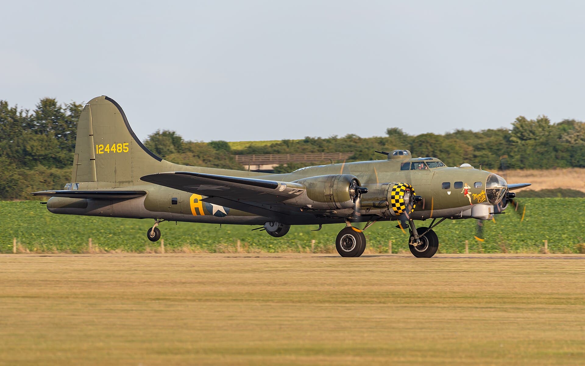 - Warbird