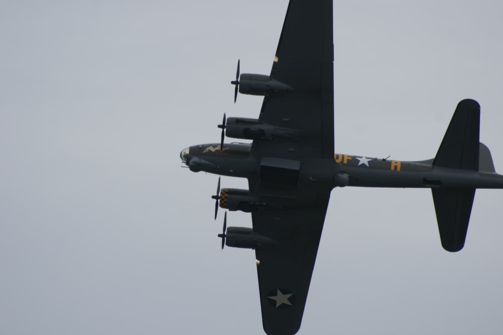 - Warbird