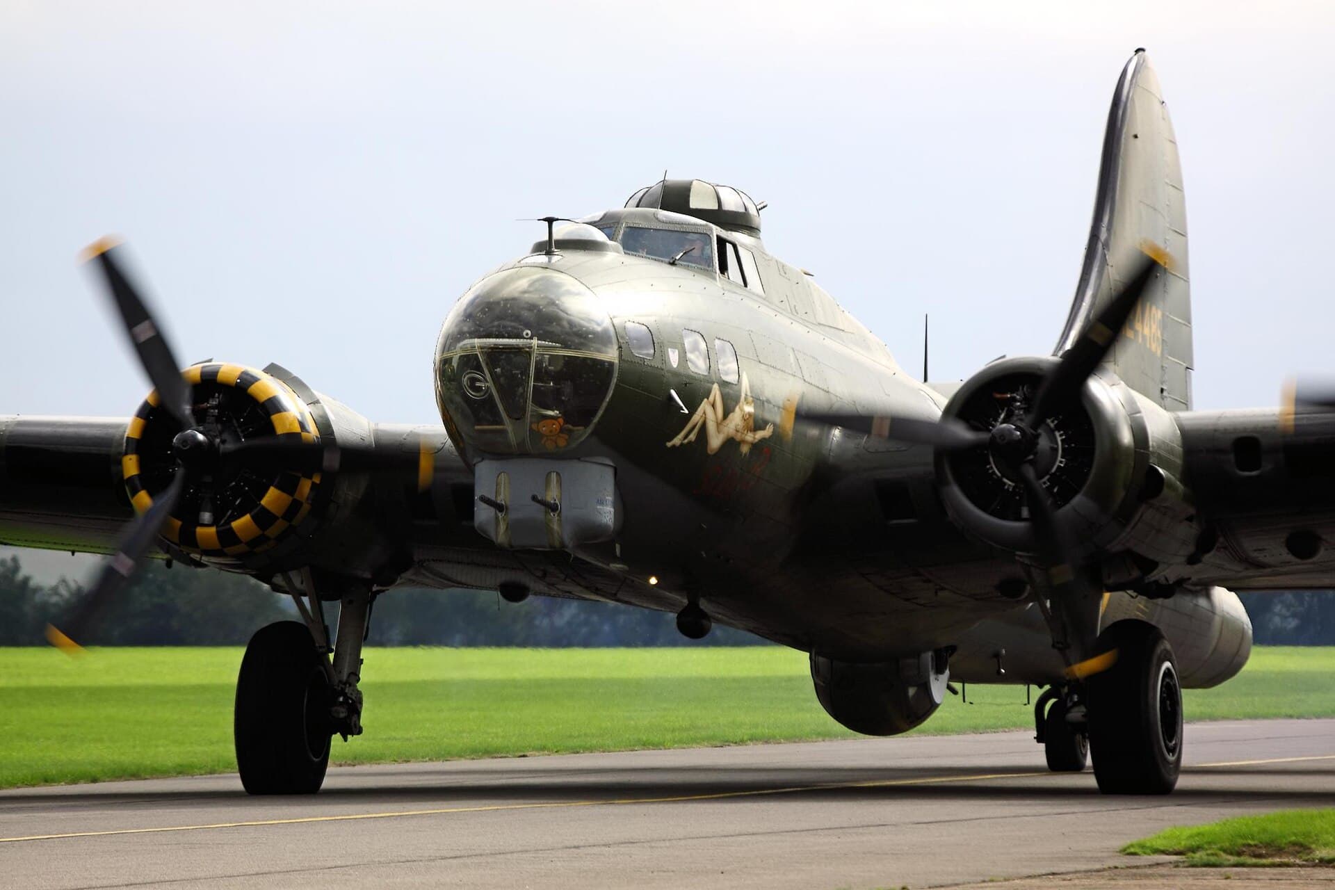 - Warbird