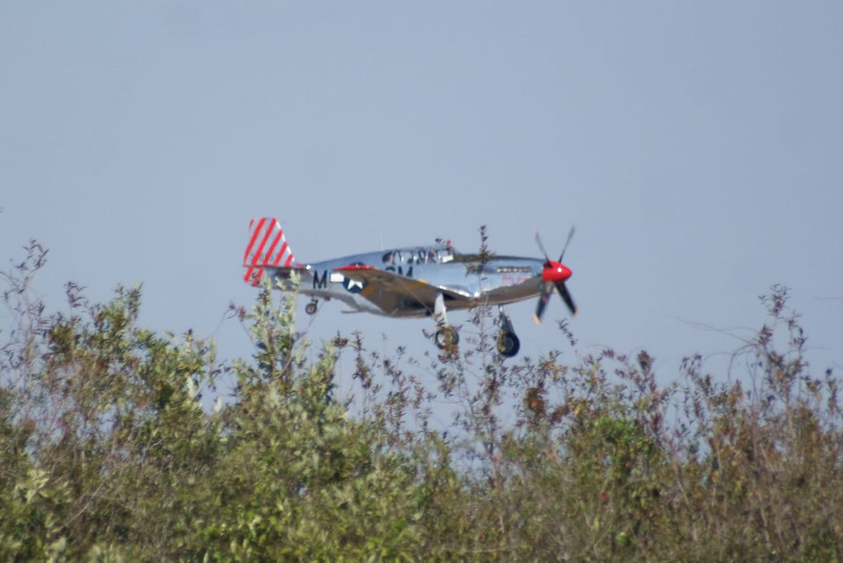 N251MX - Warbird