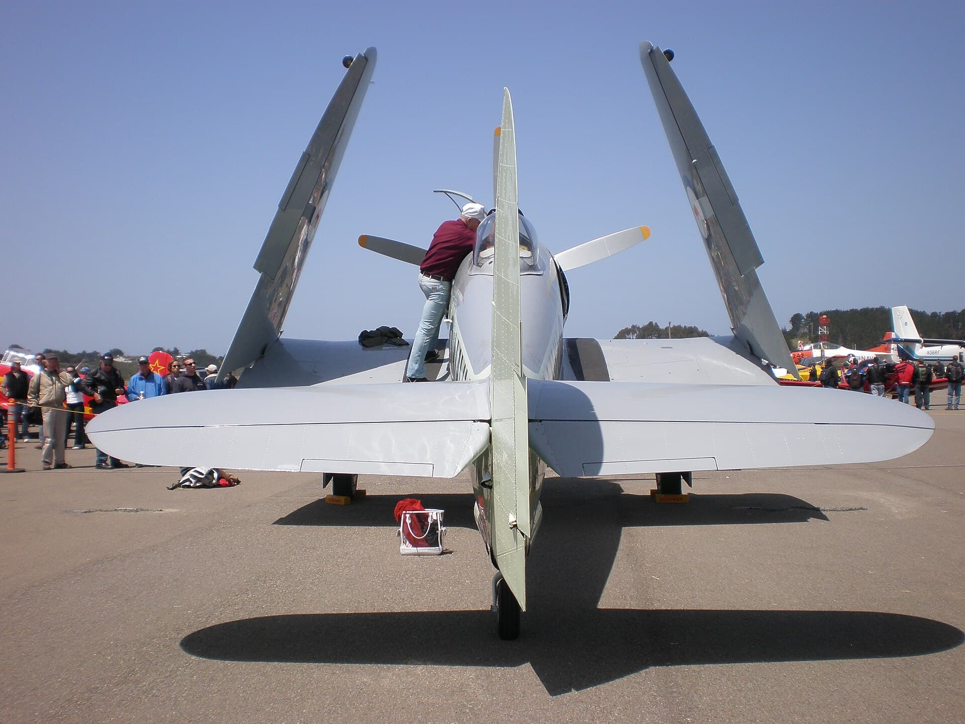 - Warbird
