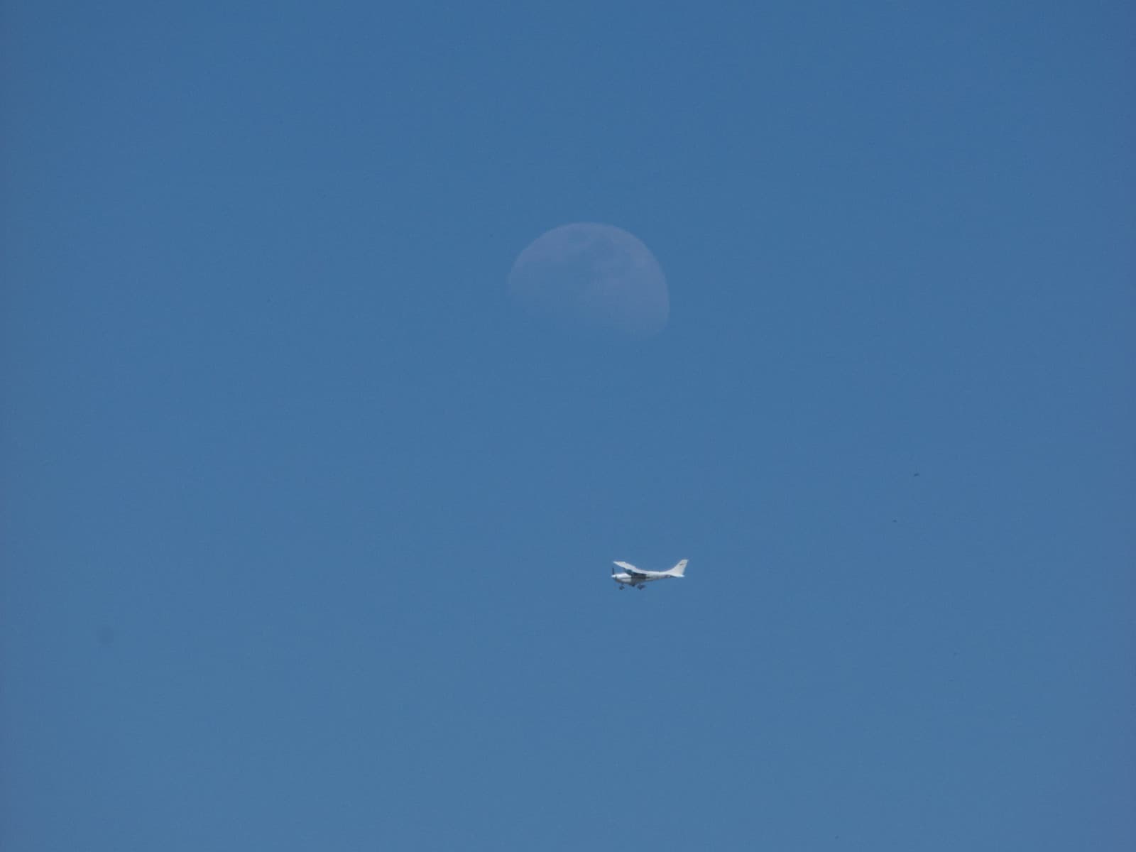 N9954T - Single-engine aircraft
