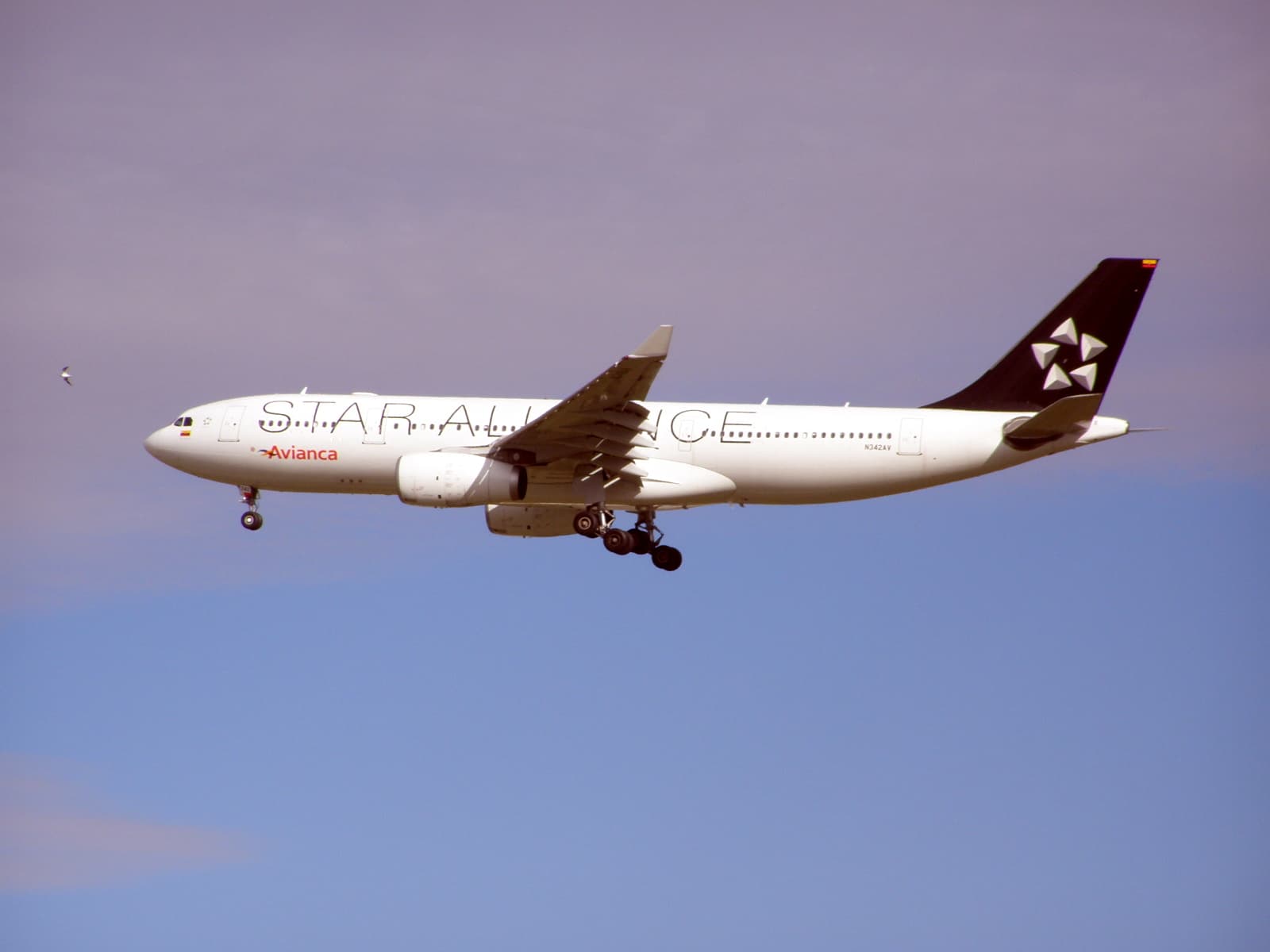 N342AV - Airbus
