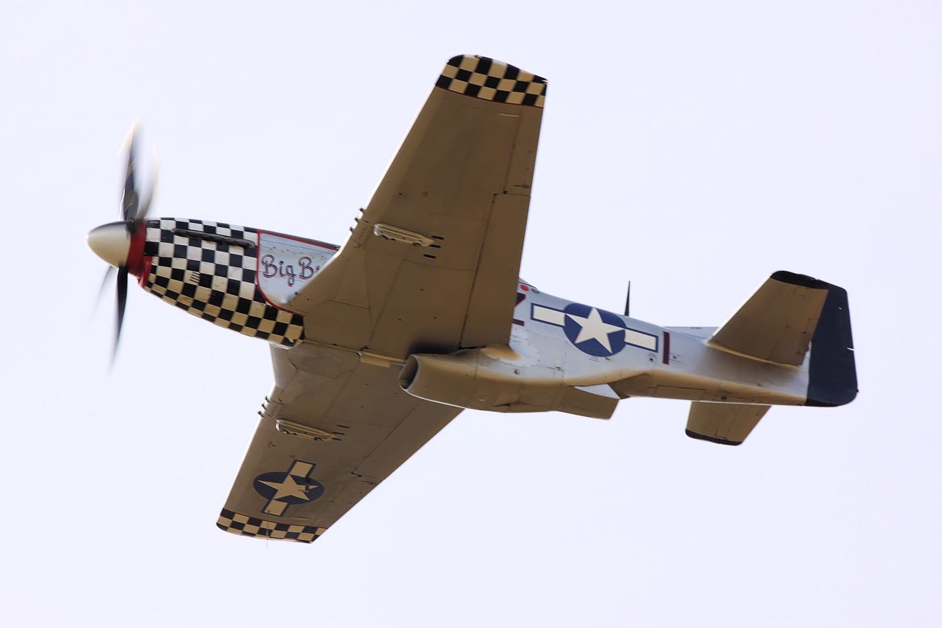 - Warbird