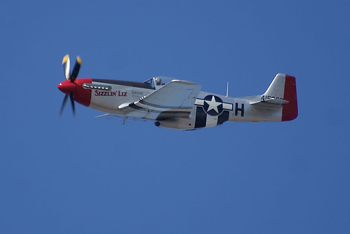- Warbird