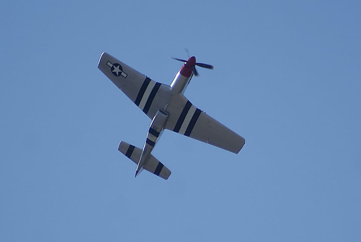 - Warbird