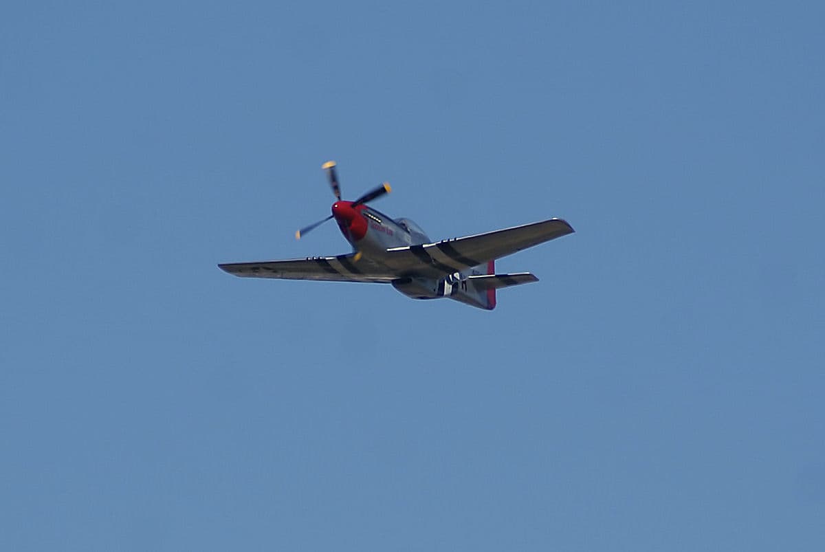 - Warbird