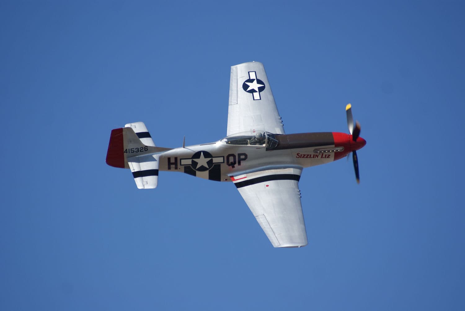 - Warbird
