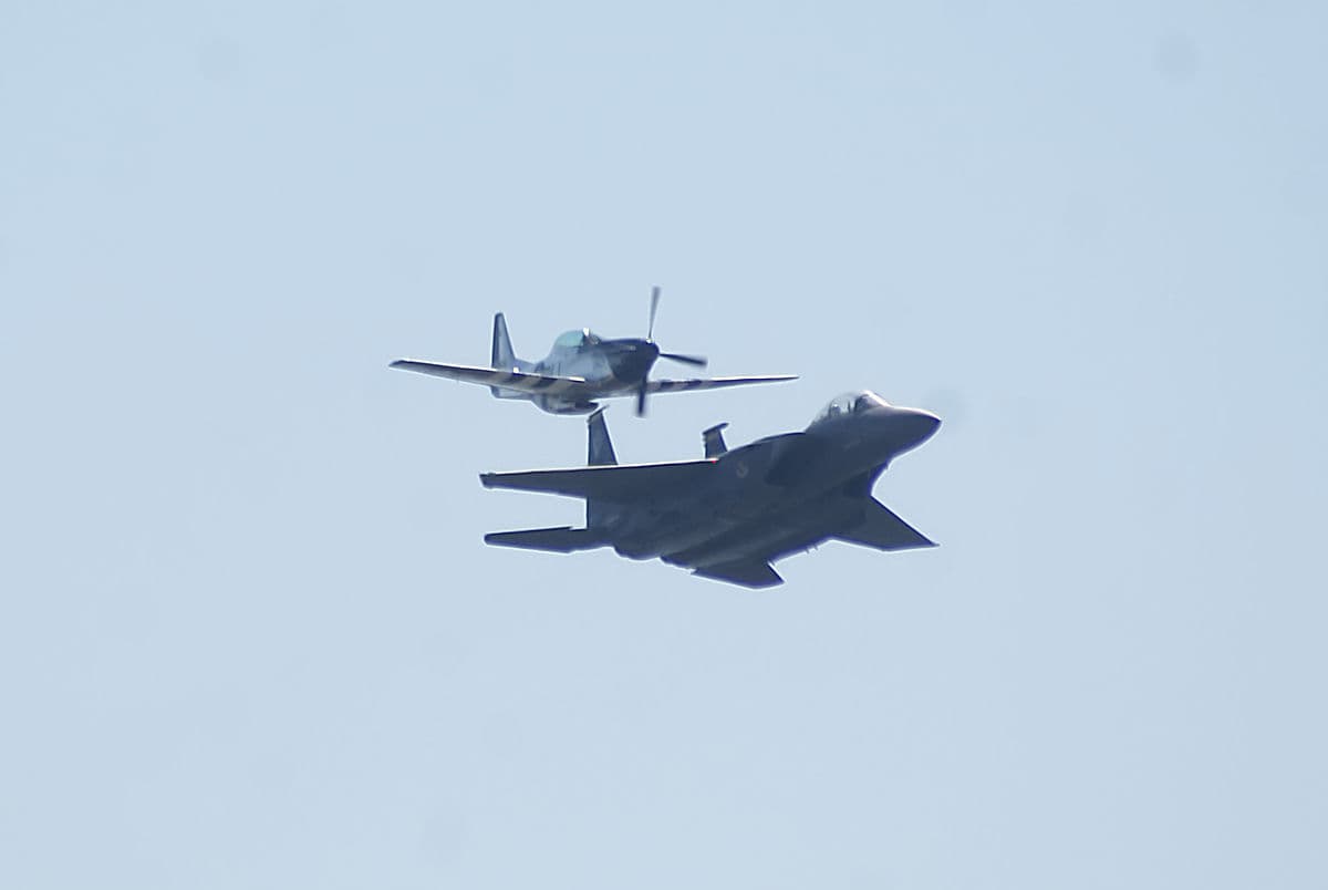 - Warbird