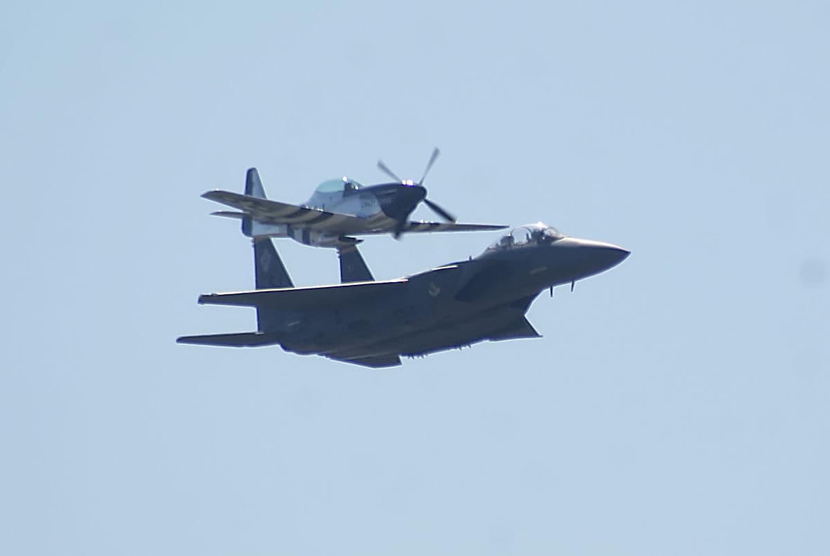 - Warbird