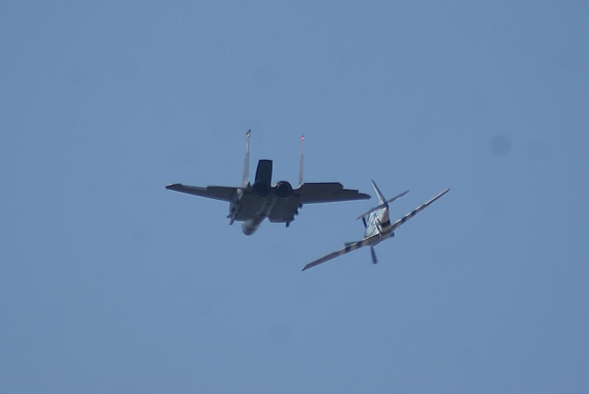 - Warbird