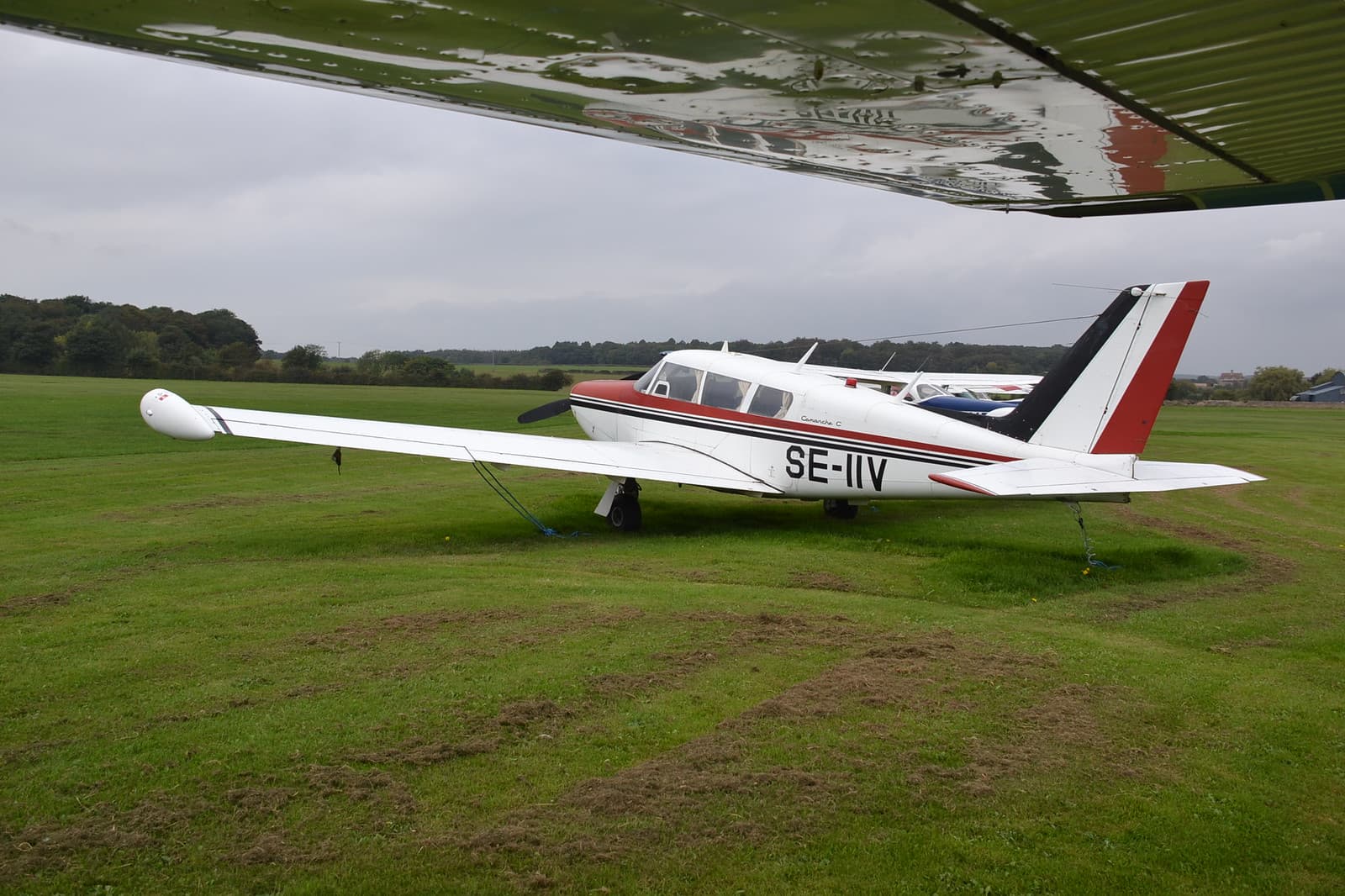 SE-IIV - Piper