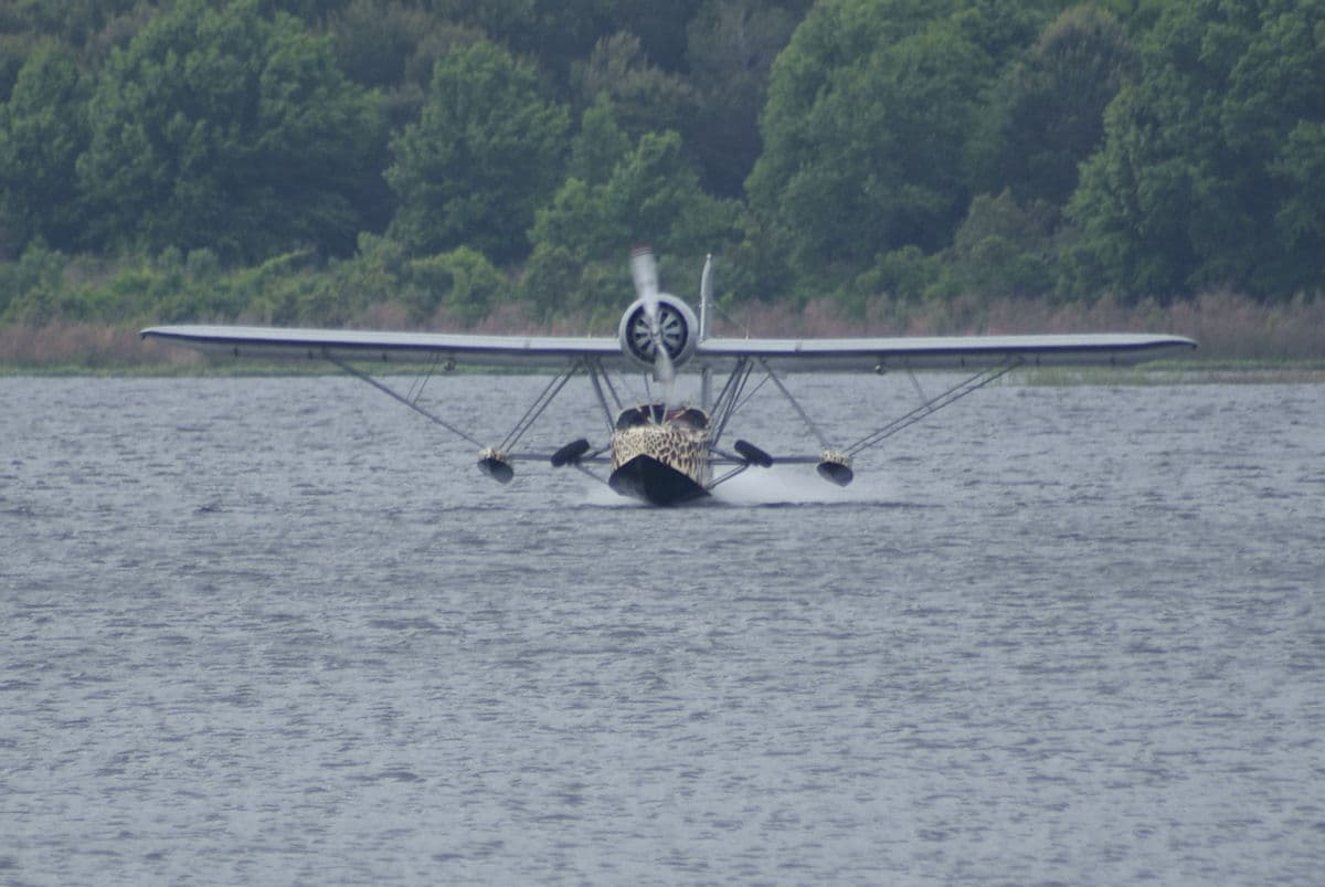 - Floatplane