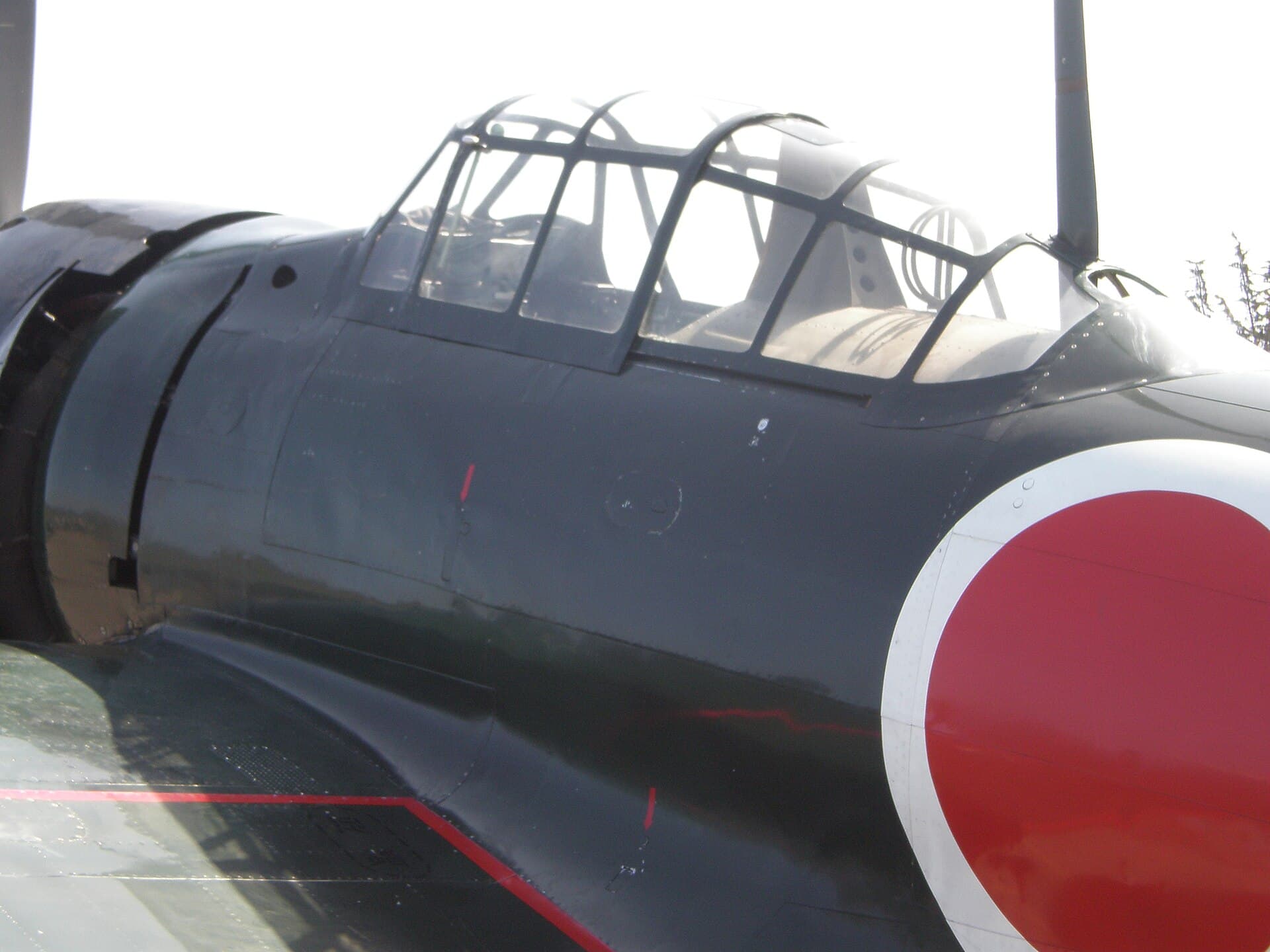 - Warbird