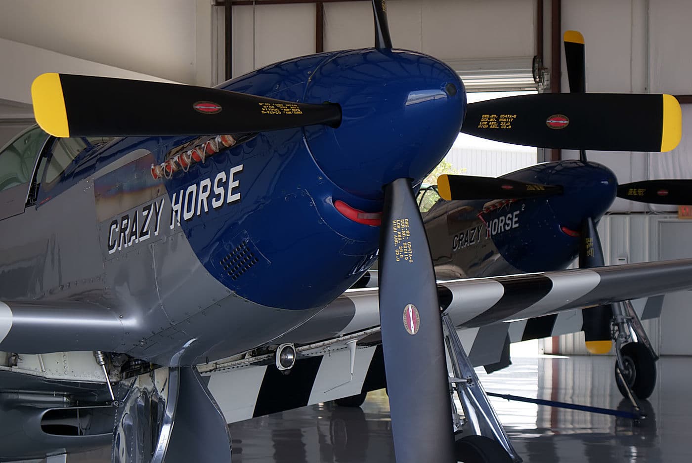 - Warbird