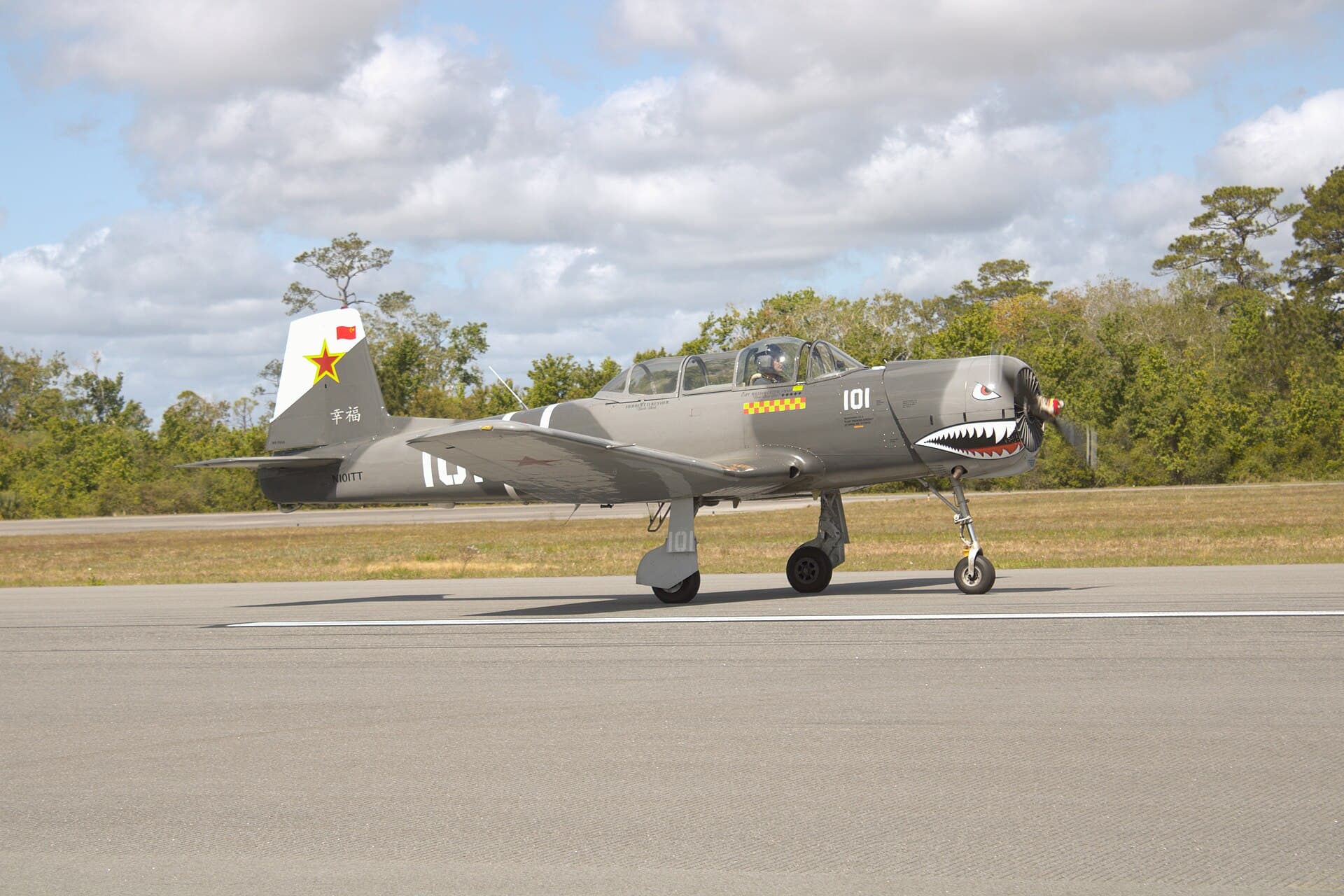 N101TT - Warbird