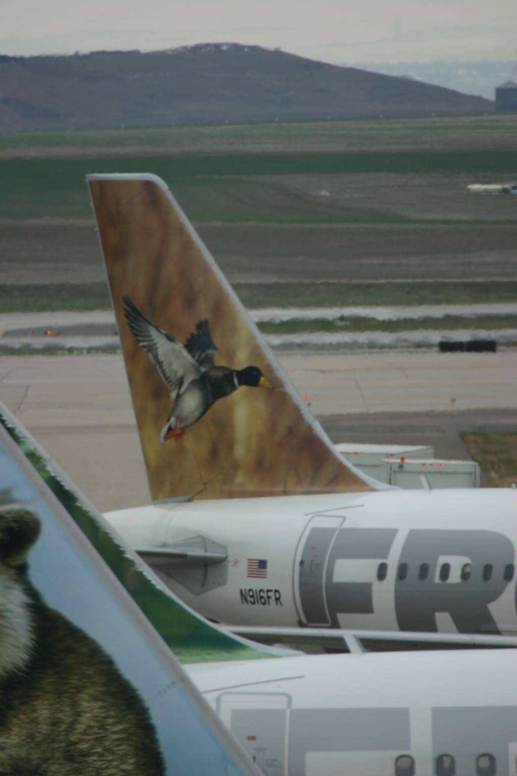 N916FR - Aircraft