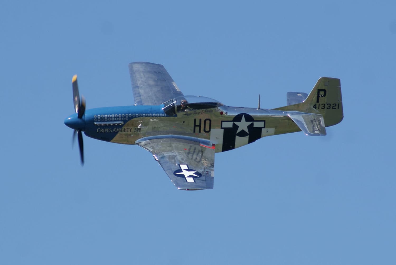 - Warbird