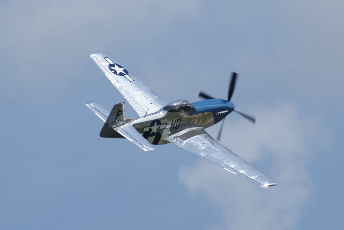 - Warbird