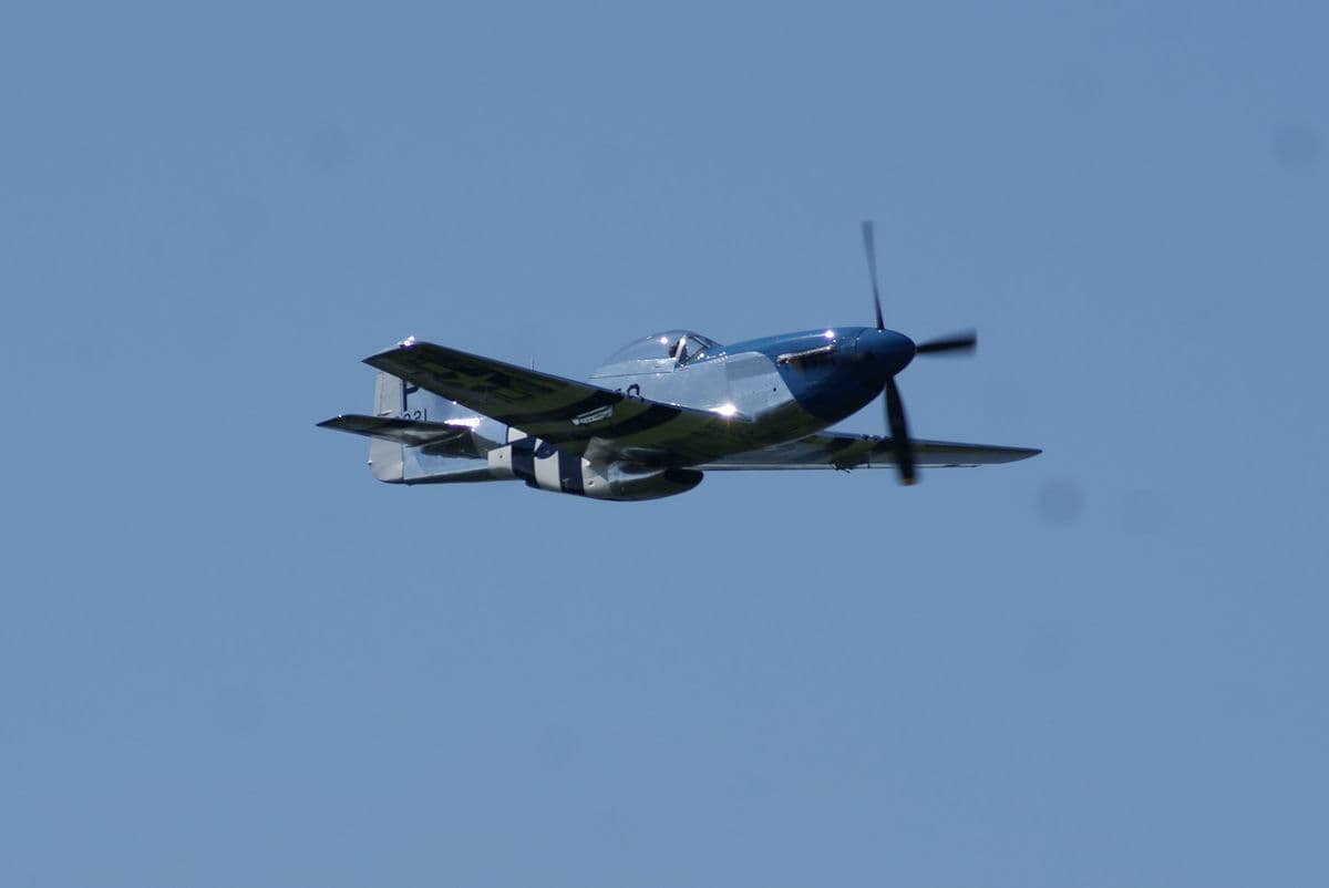 - Warbird