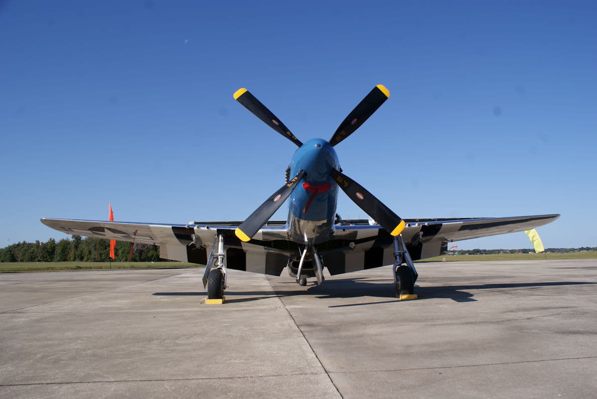 - Warbird